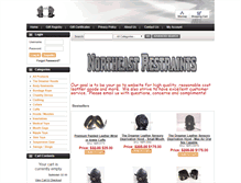 Tablet Screenshot of northeastrestraints.com